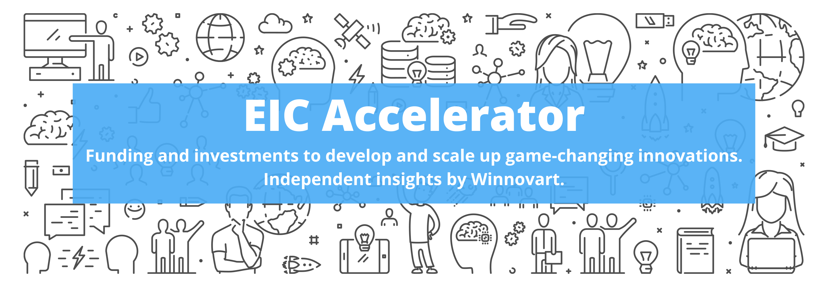 EIC Accelerator Overview